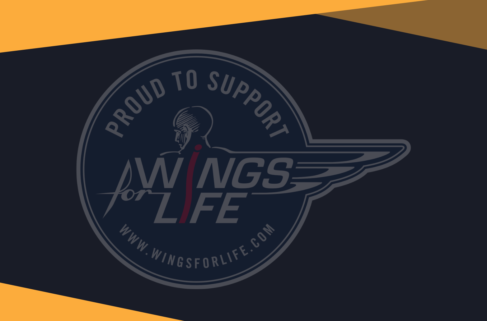 Supporting Wings For Life