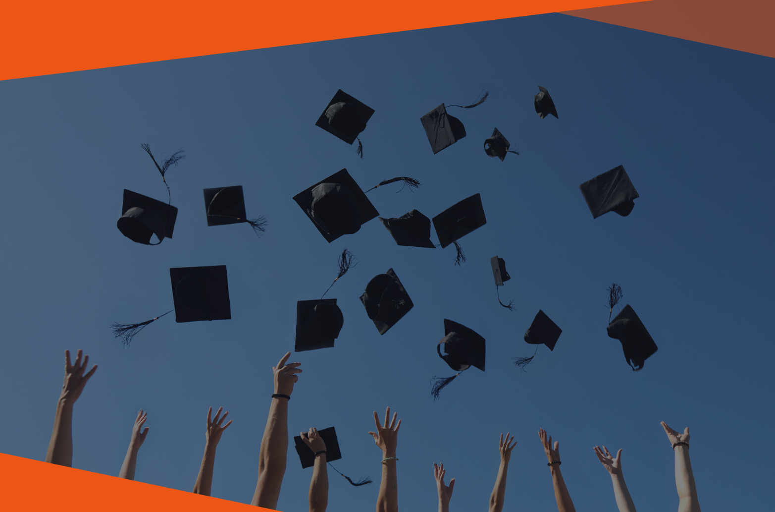 Calling all Industry Insights alumni!