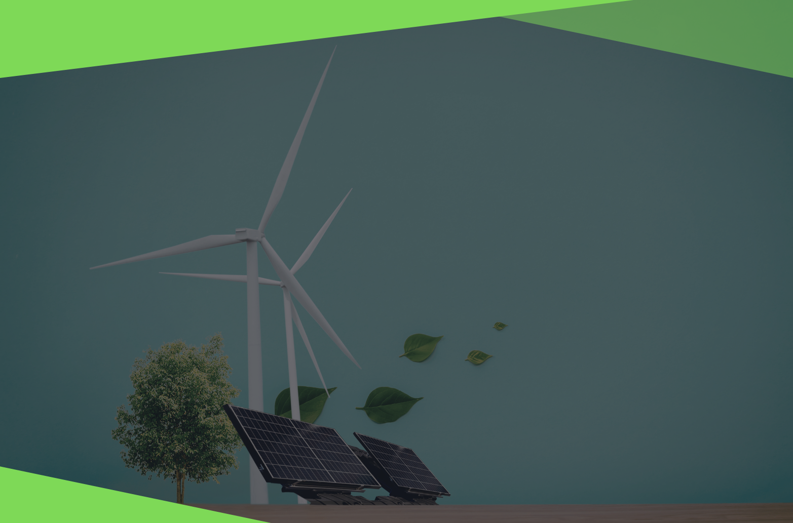 Women in renewable energy